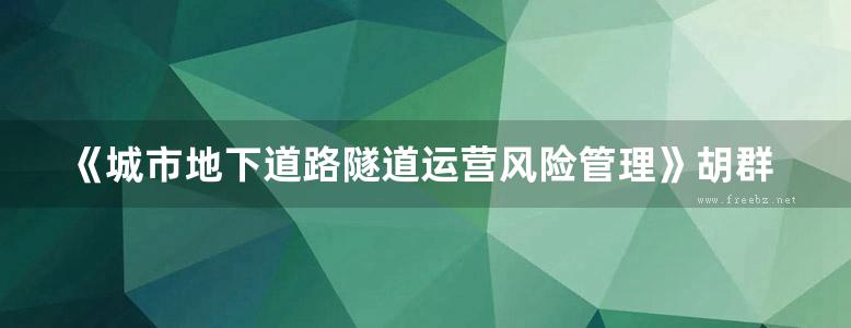 《城市地下道路隧道运营风险管理》胡群芳 叶永峰 黄宏伟 2014 